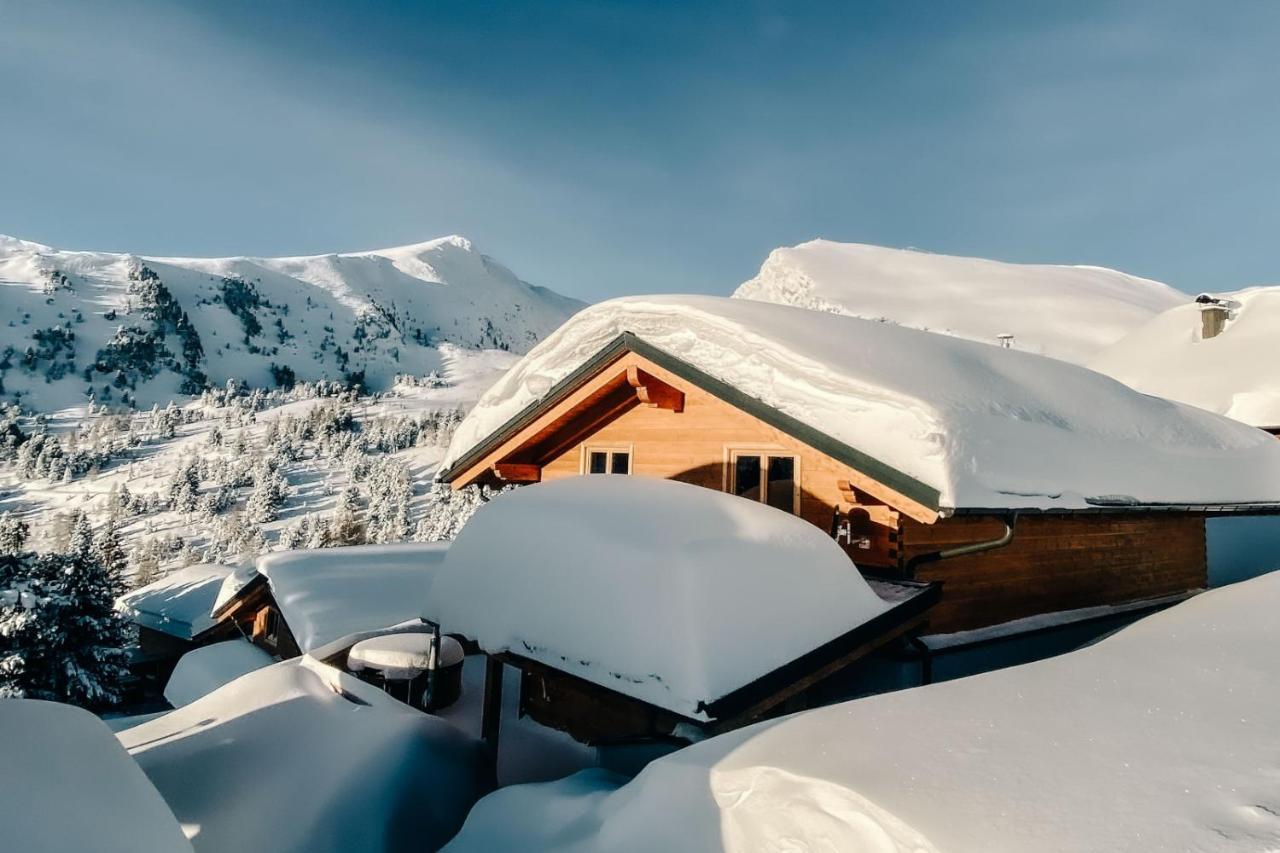Heidi Chalets Falkert Heidialm - Chalets Bergwinter Patergassen Eksteriør bilde