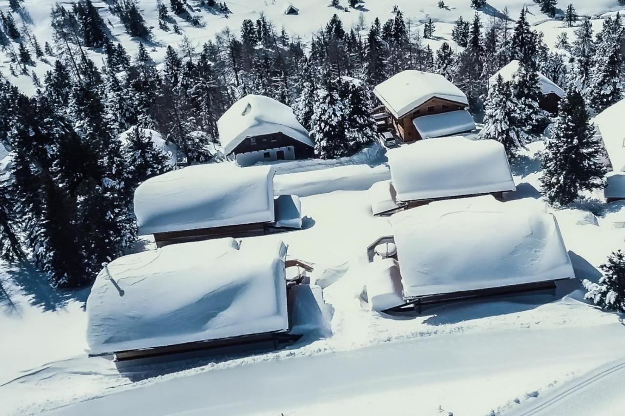 Heidi Chalets Falkert Heidialm - Chalets Bergwinter Patergassen Eksteriør bilde